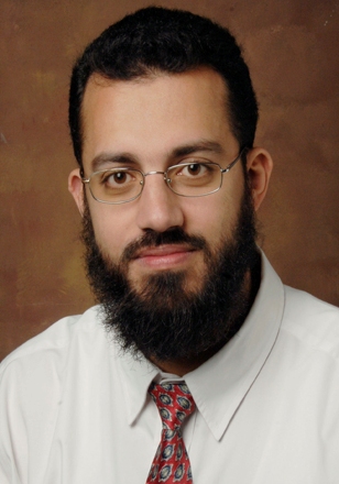 Hossam M. Ashour  PhD