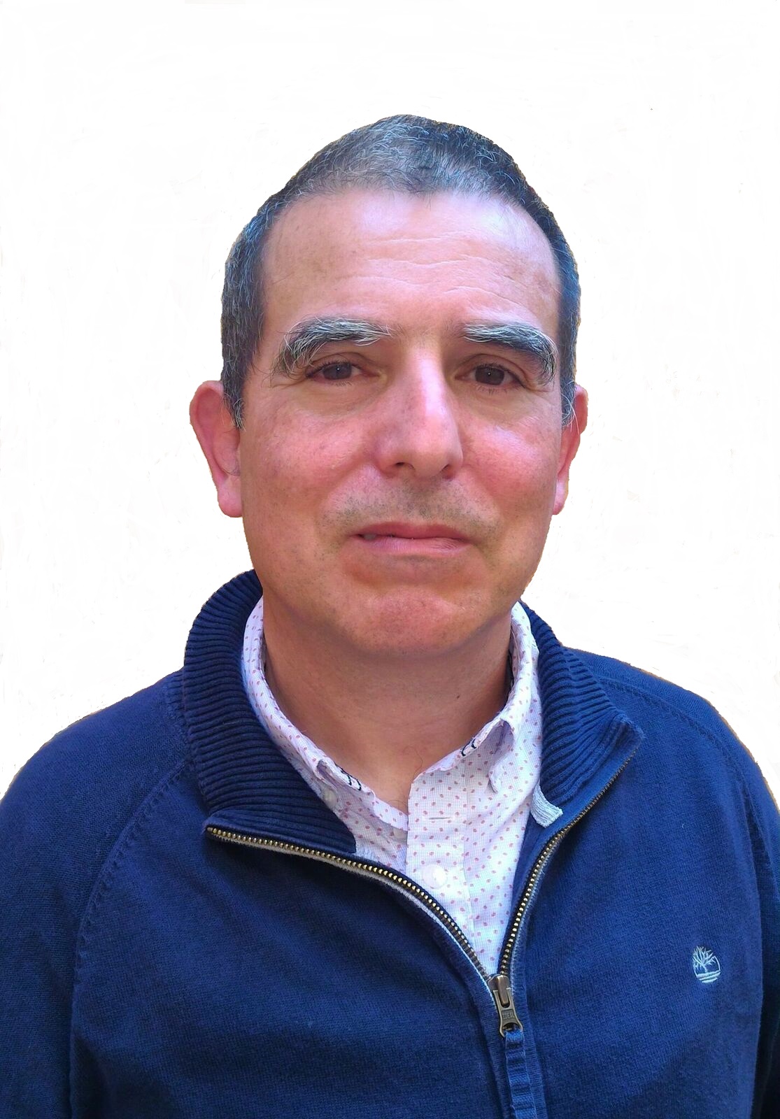 Manuel Rico-Secades, PhD