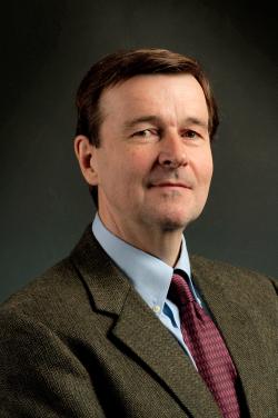 David A Williams,  PhD 