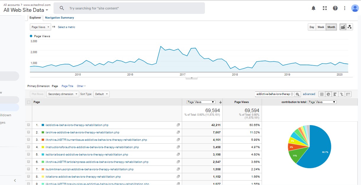 Visitor Analysis Report