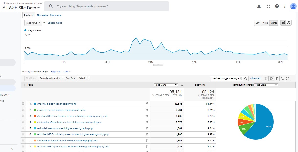 Visitor Analysis Report