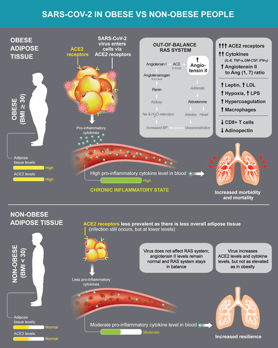 Journal-Pulmonary-Medicine-Proposed