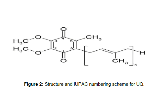 applied-bioinformatics-computational-biology-numbering-scheme