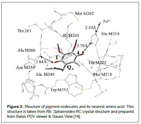 applied-bioinformatics-computational-biology-pigment-molecules