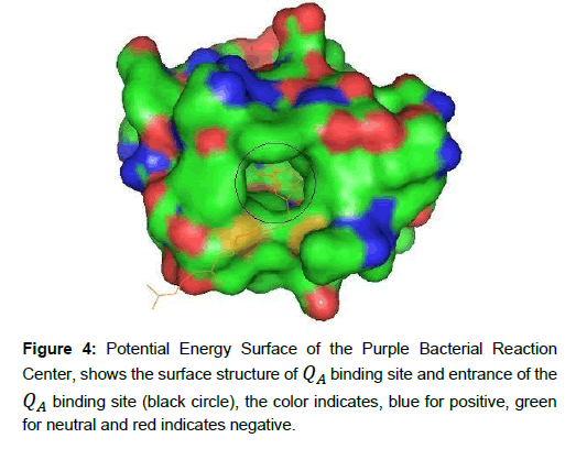 applied-bioinformatics-computational-biology-surface-structure