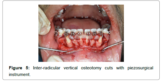 dental-health-current-research-vertical