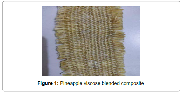 fashion-technology-textile-engineering-Pineapple