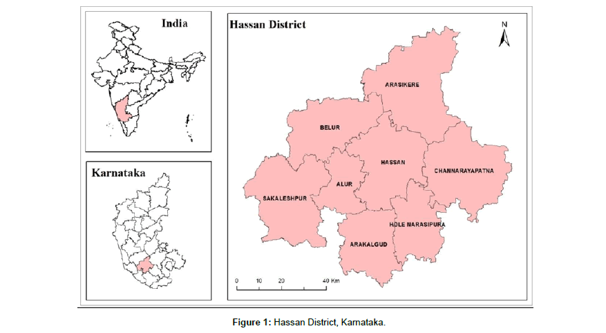 geoinformatics-geostatistics-Hassan-District