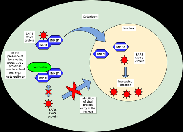 immune-therapies