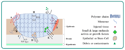 pharmaceutics-drug-hydrogel