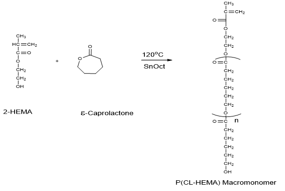 pharmaceutics-drug-ring