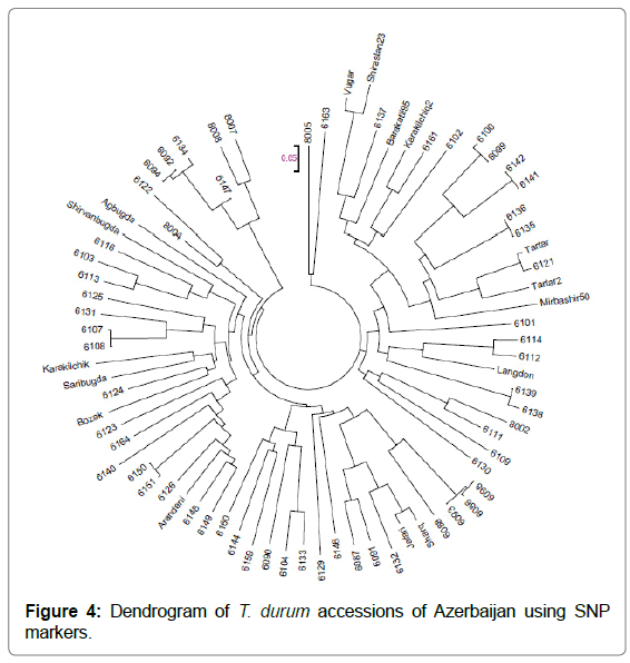 plant-physiology-pathology-accessions