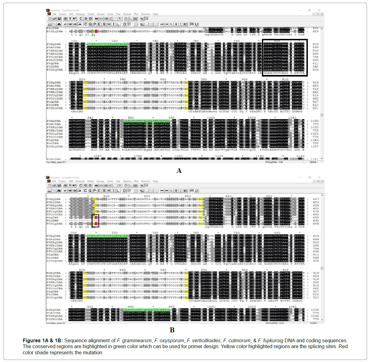 plant-physiology-pathology-alignment