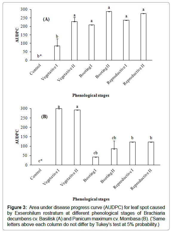 plant-physiology-pathology-leaf plant-physiology-pathology-leaf