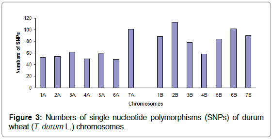 plant-physiology-pathology-polymorphisms