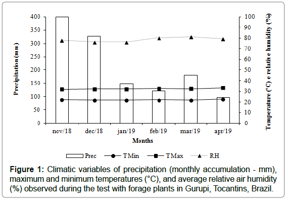 plant-physiology-pathology-precipitation plant-physiology-pathology-precipitation