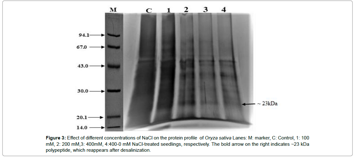 plant-physiology-pathology-protein