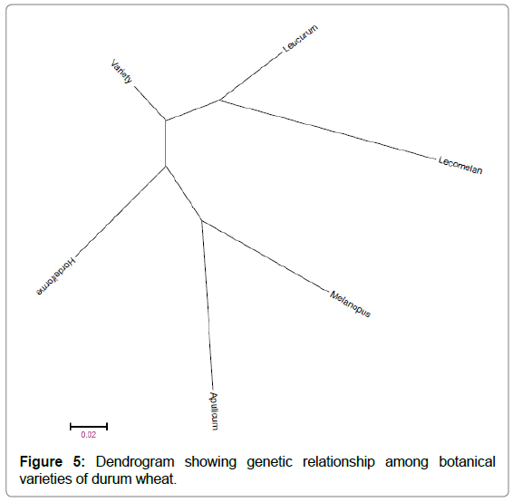 plant-physiology-pathology-relationship