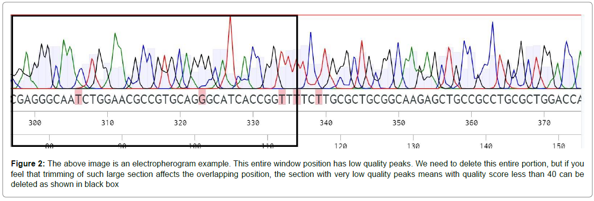 plant-physiology-pathology-window