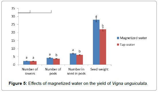 plant-physiology-pathology-yield