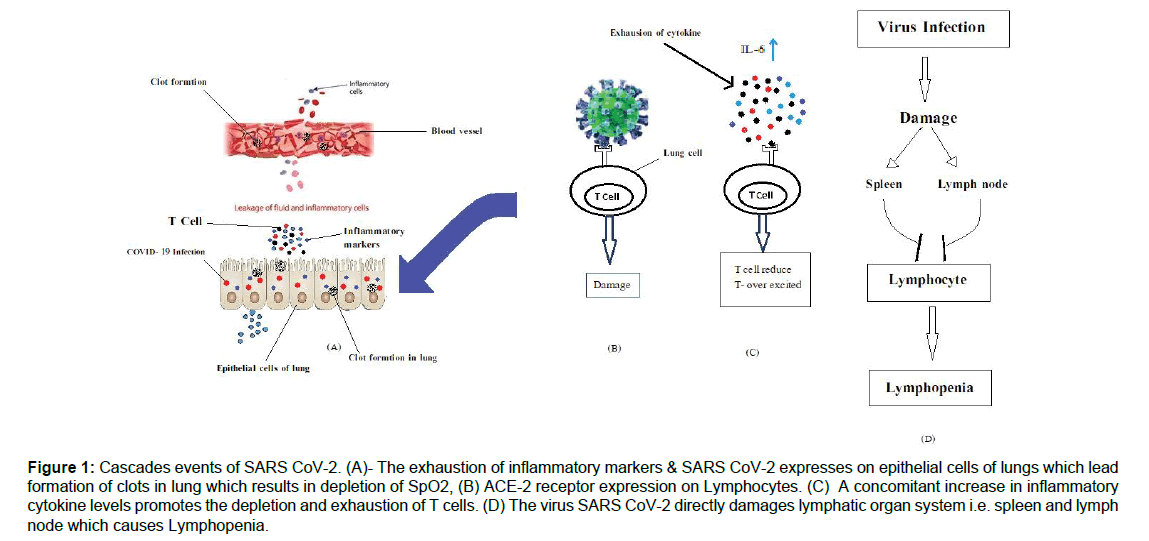 regenerative-medicine-Cascades-events regenerative-medicine-Cascades-events