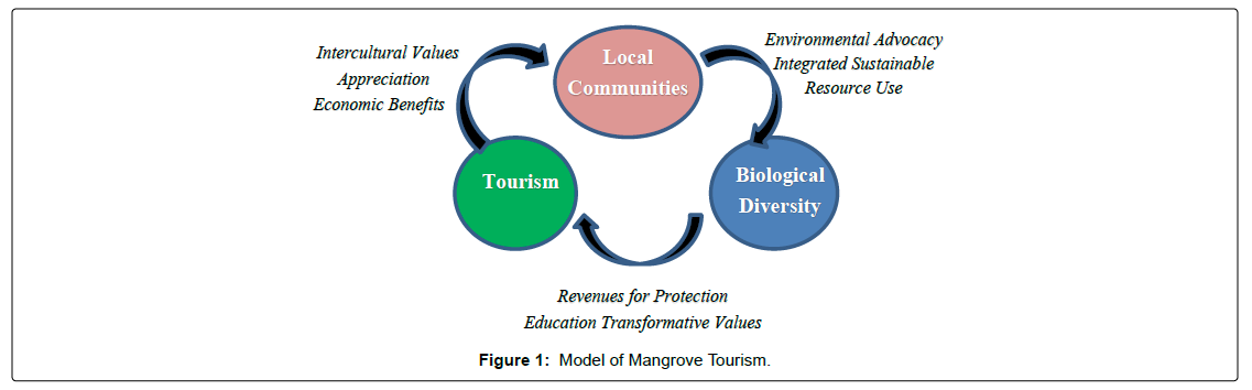 tourism-research-hospitality-Model