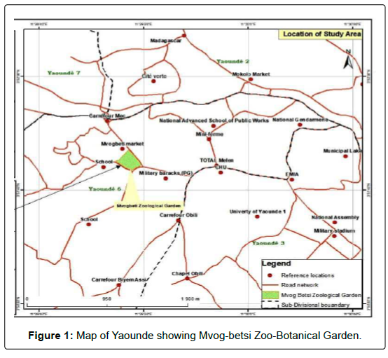 tourism-research-hospitality-Yaounde