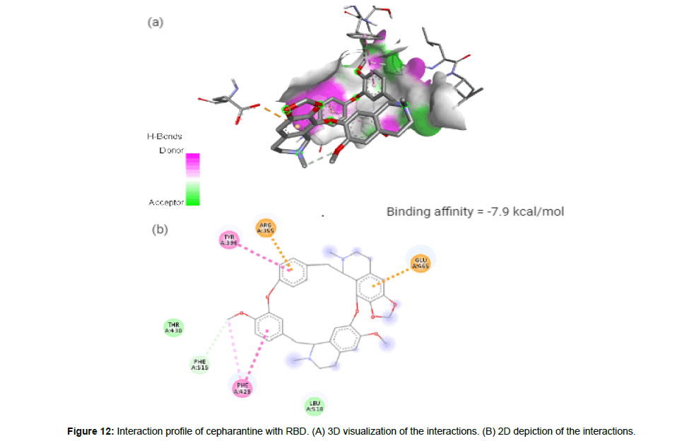 virology-antiviral-2D-depiction