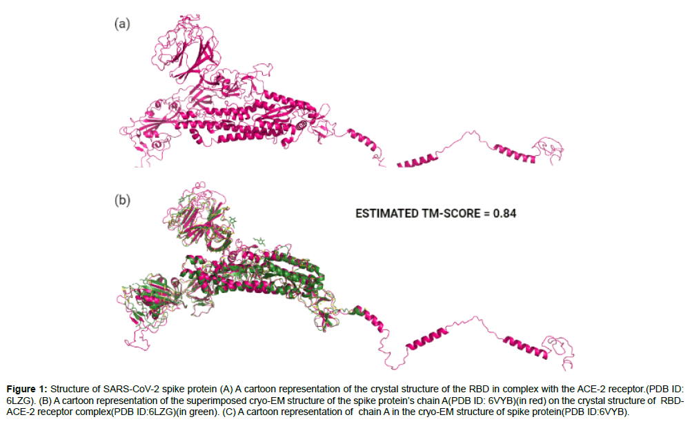 virology-antiviral-crystal-structure