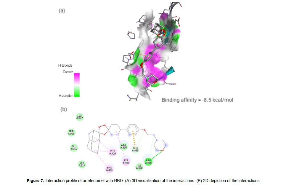 virology-antiviral-depiction-interactions