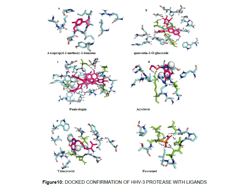 virology-antiviral-docked-confirmation