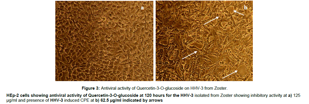 virology-antiviral-inhibitory-activity