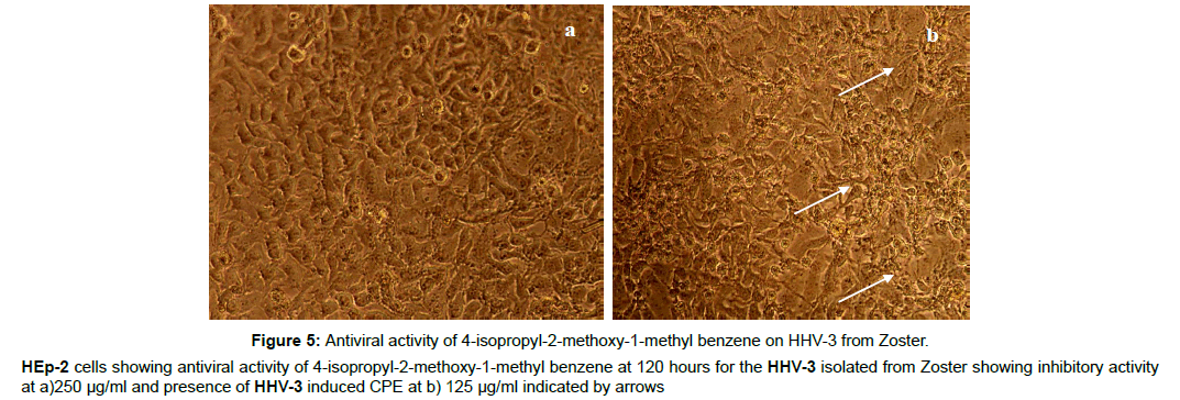 virology-antiviral-inhibitory-activity