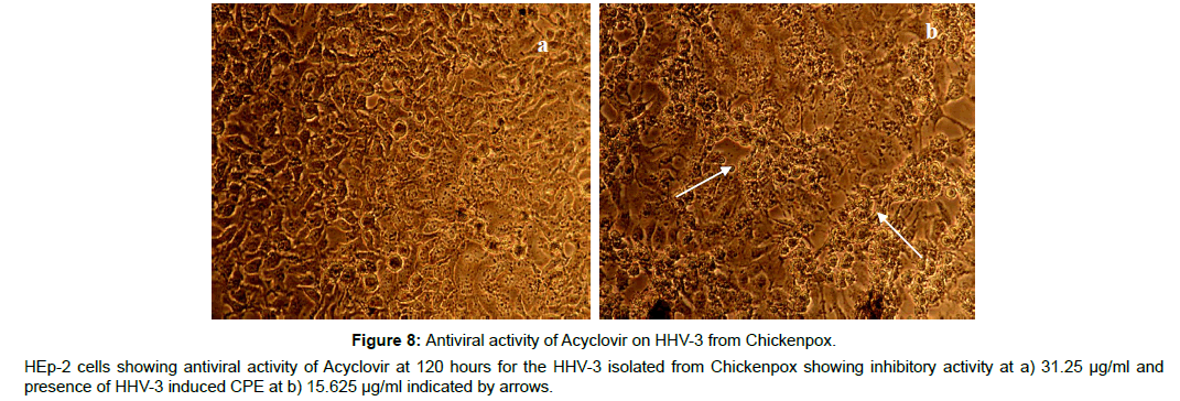 virology-antiviral-inhibitory-activity