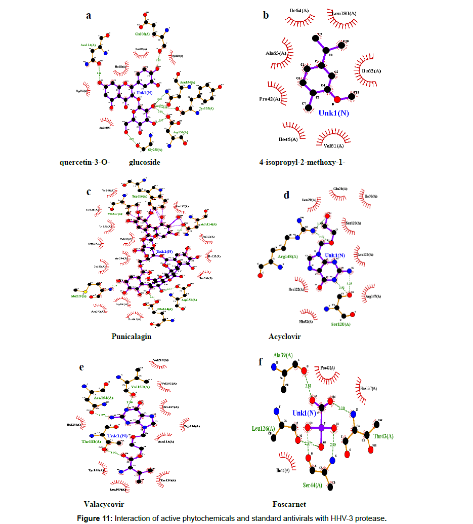 virology-antiviral-standard-antivirals