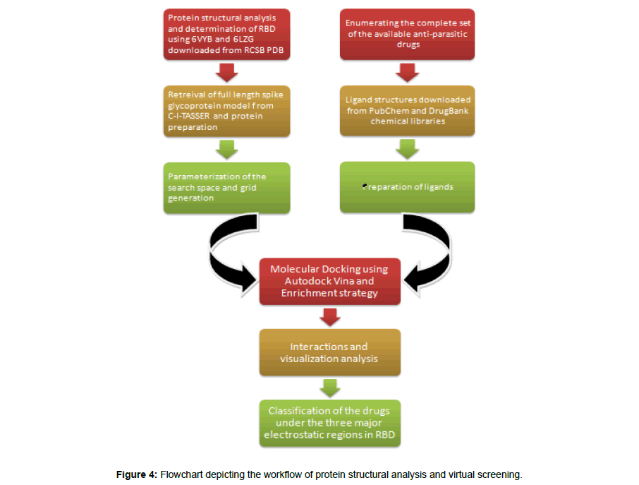 virology-antiviral-virtual-screening