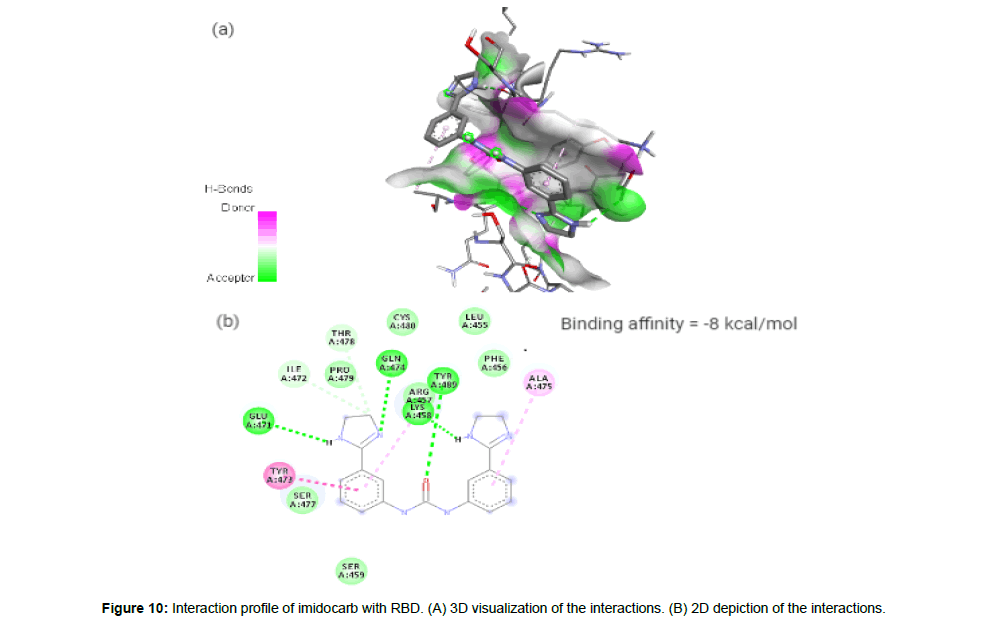 virology-antiviral-visualization-interactions