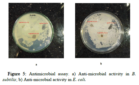 BMA-assay