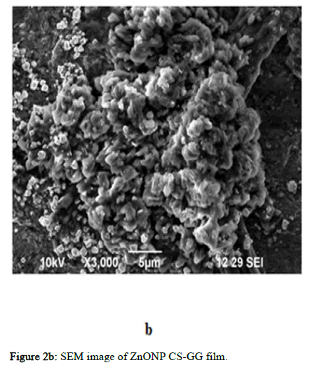 BMA-image BMA-image