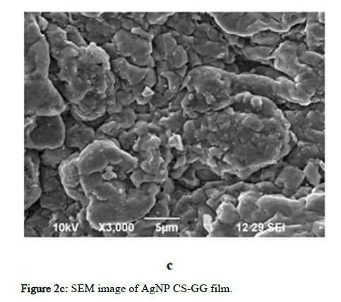 BMA-image BMA-image