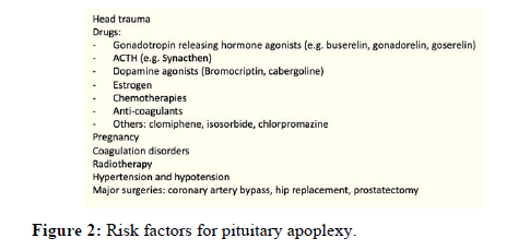 ECDR-factors