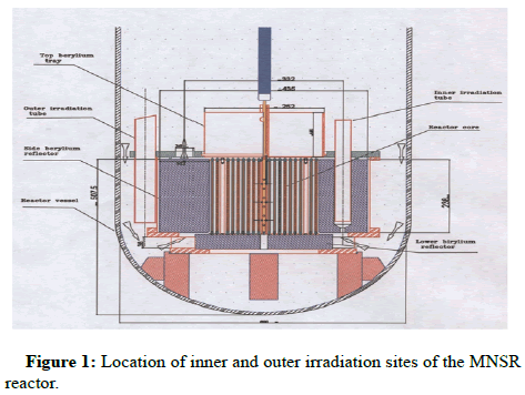 irradiation