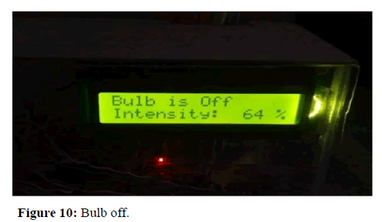 Bulb Bulb