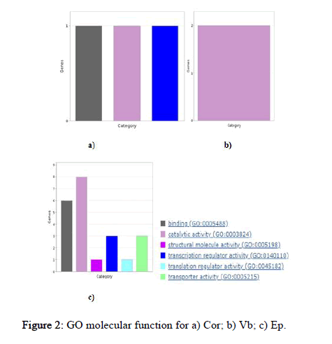 JABCB-molecular JABCB-molecular