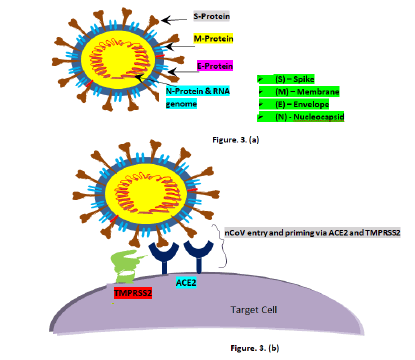 JNMN-diagram