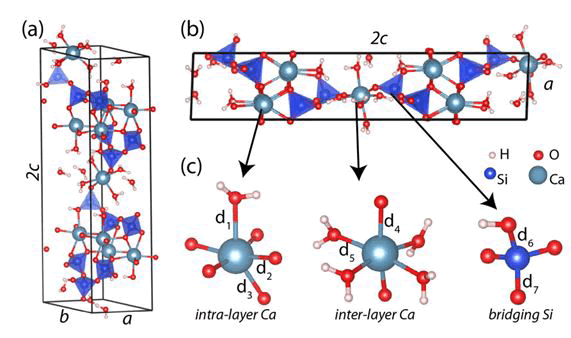 JNMN-structure