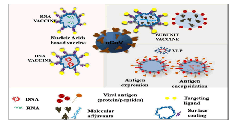 JNMN-vaccine