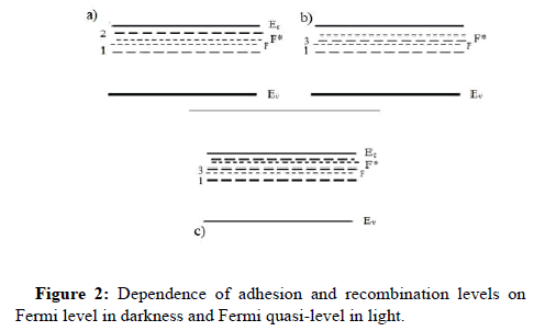 JNPGT-adhesion