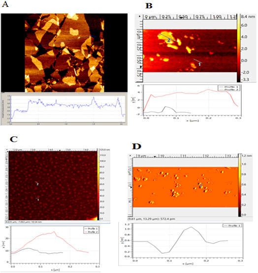 JPDDR-AFM JPDDR-AFM