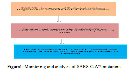 JVA-analysis